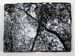 Tree - 2